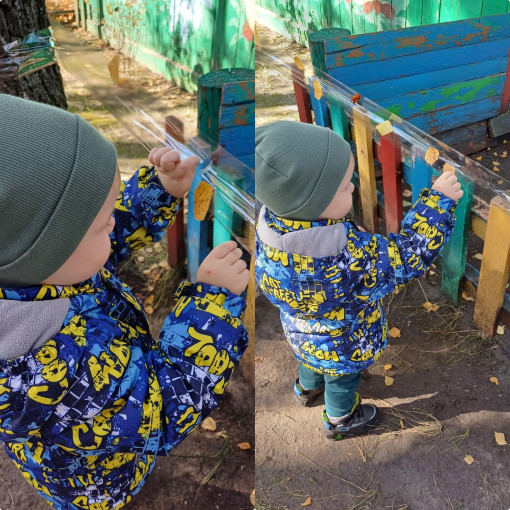 Наблюдение за осенними изменениями в природе.