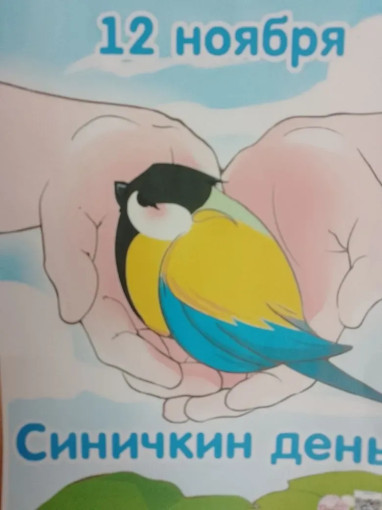 Прошёл Синичкин день в ромашке.